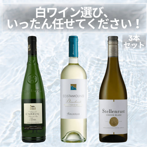 白ワイン選び、いったん任せてください!3本セット