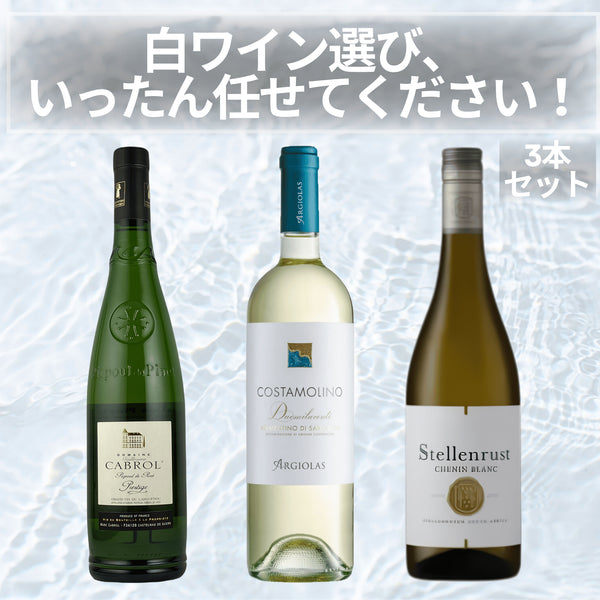 白ワイン選び、いったん任せてください!3本セット