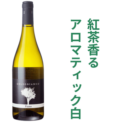 【送料無料】自然派ワインが苦手な人へ!ひとまずクリーンなワイン飲みましょ!