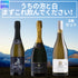うちの泡と白、まずこれ飲んでください!3本セット
