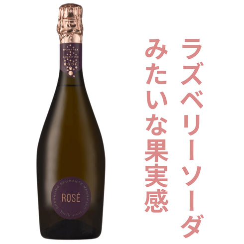 【送料無料】 家飲み泡の正解、ここにあります!シャンパーニュ入り3本セット