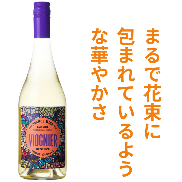 ビーニャ ファレルニア オレンジ ワイン ヴィオニエ レセルバ 2024