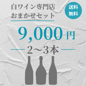 【送料無料】おまかせセット　9,000円