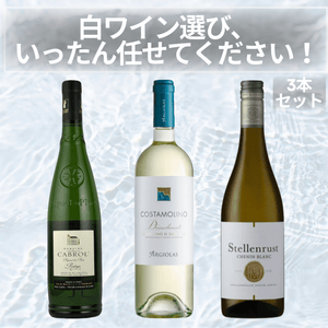 白ワイン選び、いったん任せてください！3本セット