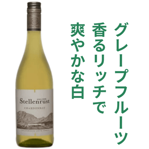 ステレンラスト シャルドネ 2025