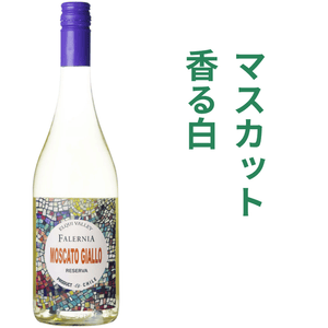 ビーニャ ファレルニア モスカート ジャッロ 2025